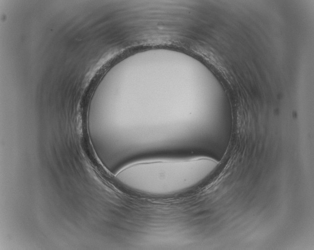 X0000074950584200609010922