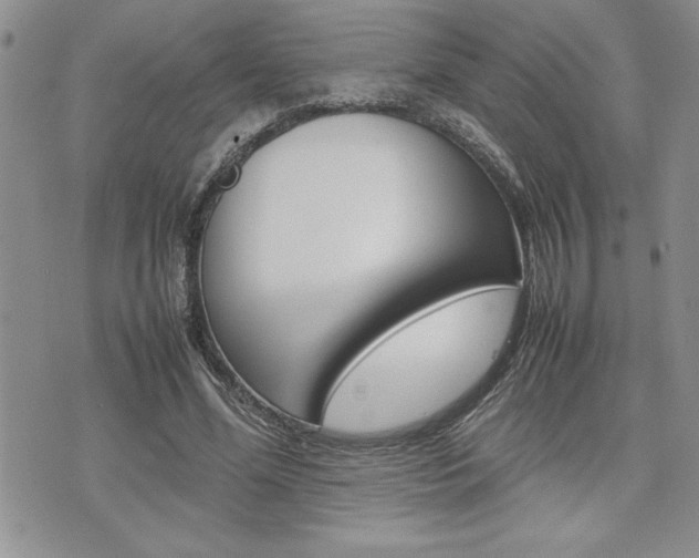X0000074950588200609010922