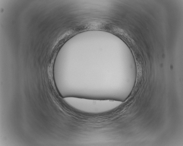 X0000074950591200609010922