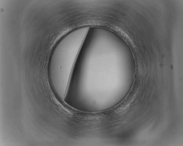 X0000074950625200609010921