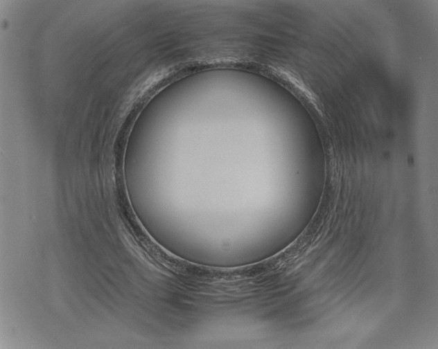 X0000074950631200609010921