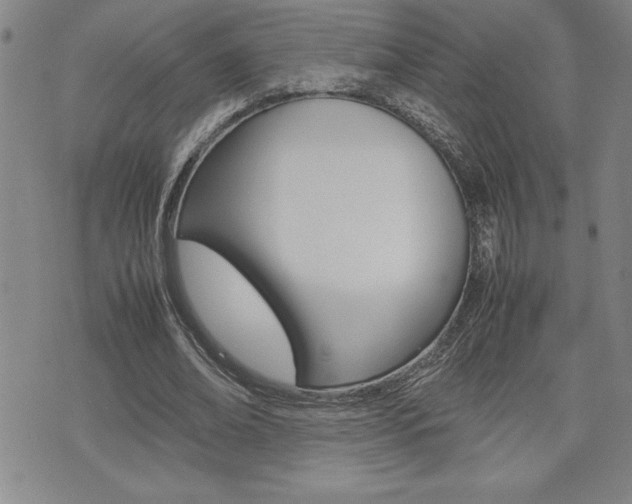 X0000074950678200609010921