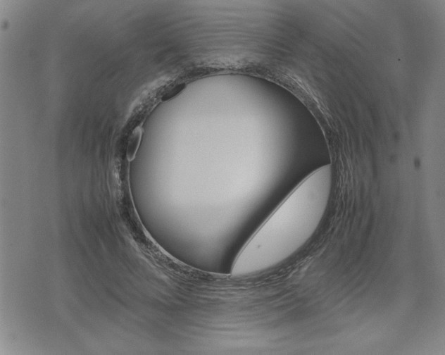 X0000074950688200609010920