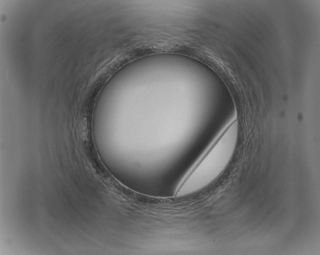 X0000074950689200609010920