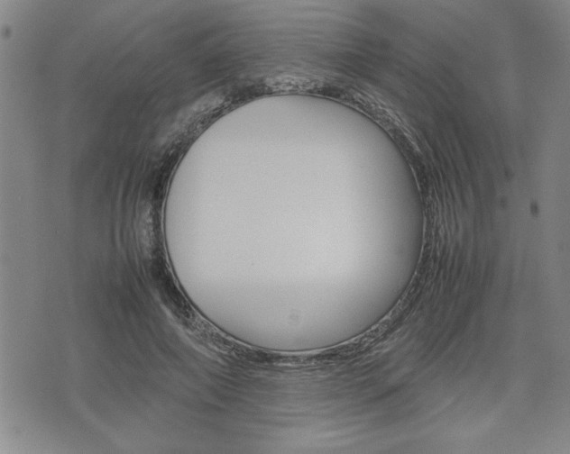 X0000074950690200609010920