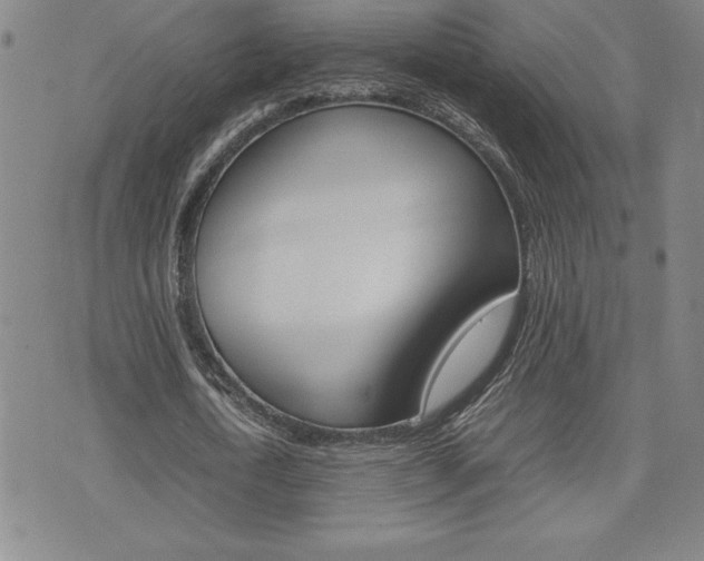 X0000074950722200609010919