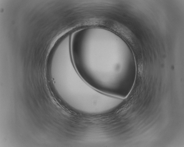 X0000074950724200609010919