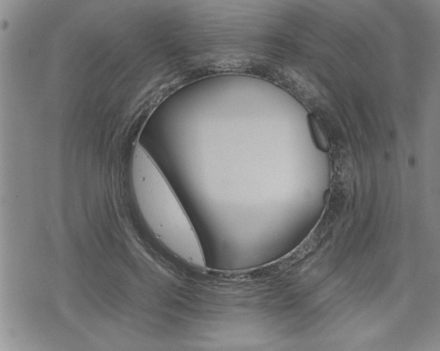 X0000074950744200609010920