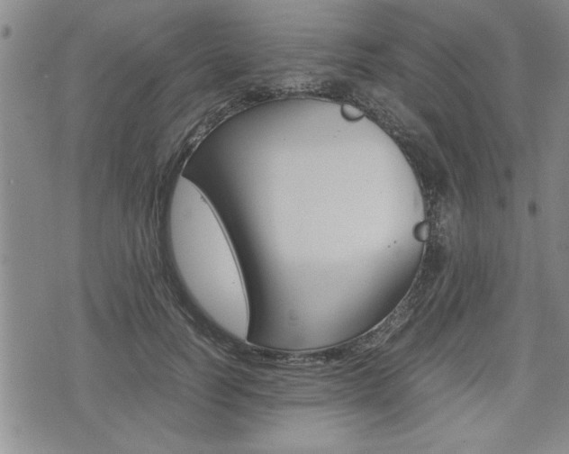 X0000074950746200609010920