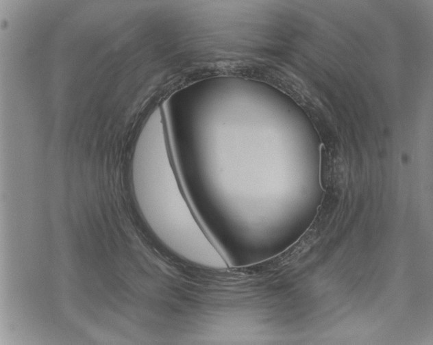 X0000074950750200609010920