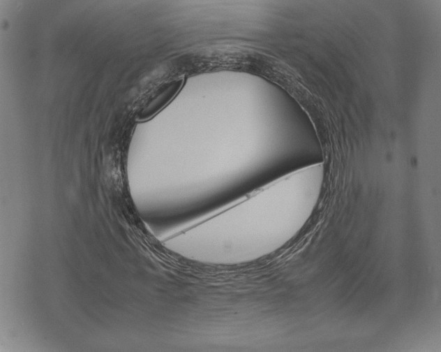 X0000074950771200609010919