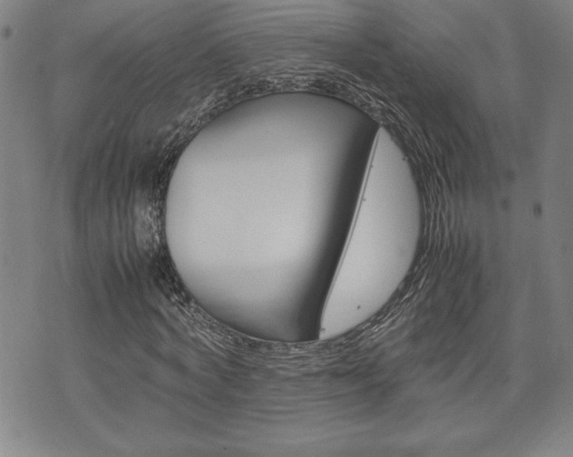 X0000074950772200609010919