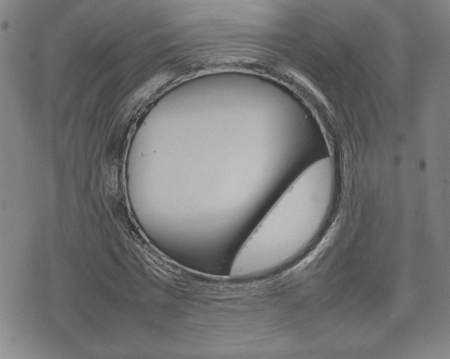 X0000074950777200609010919