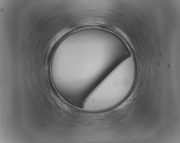 X0000074950779200609010919