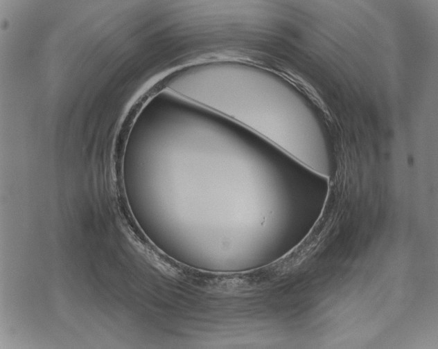 X0000074950784200609010919