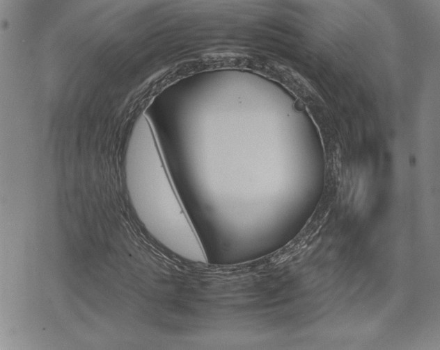 X0000074950821200609010918