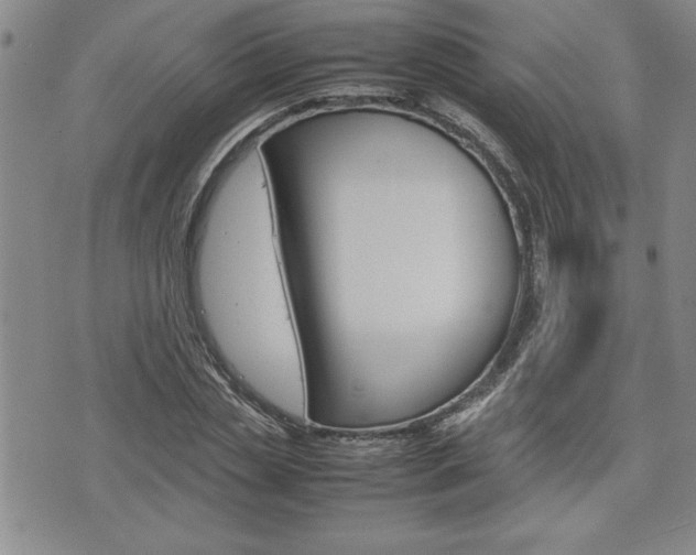 X0000074950829200609010918
