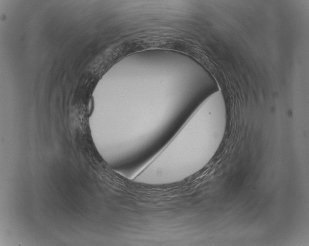 X0000074950867200609010918