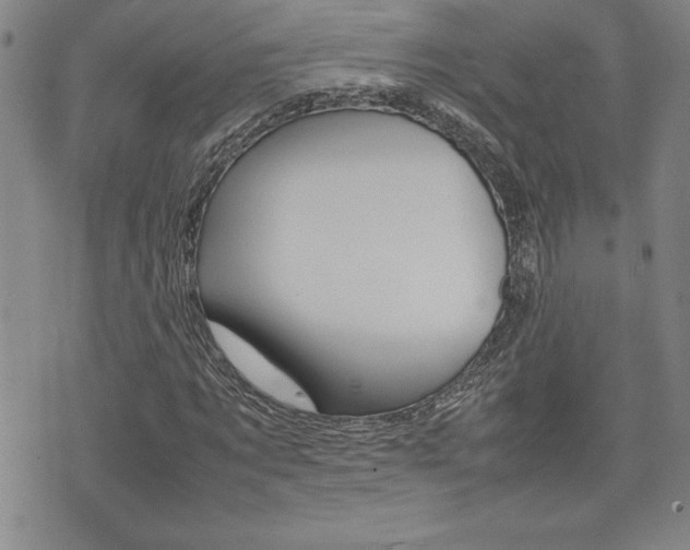 X0000074950869200609010917