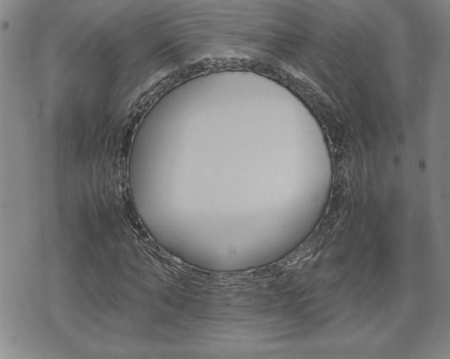 X0000074950870200609010917