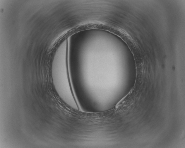 X0000074950872200609010917