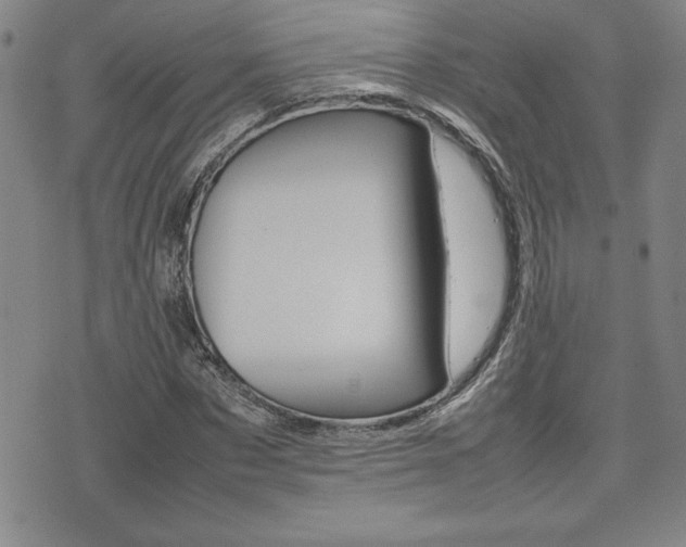 X0000074950873200609010917