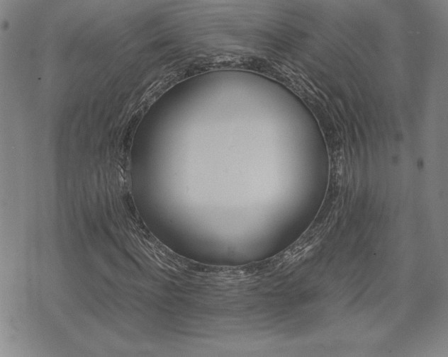 X0000074950916200609010916