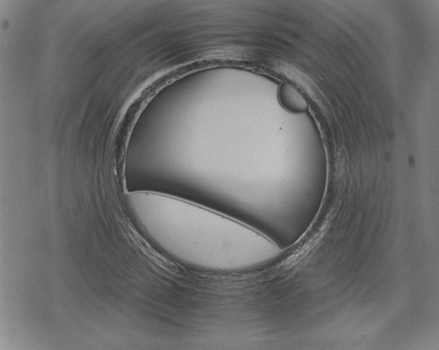 X0000074950923200609010916