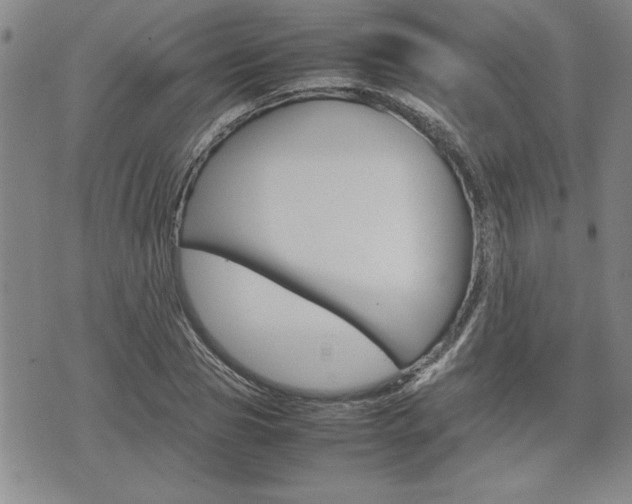 X0000074950929200609010916