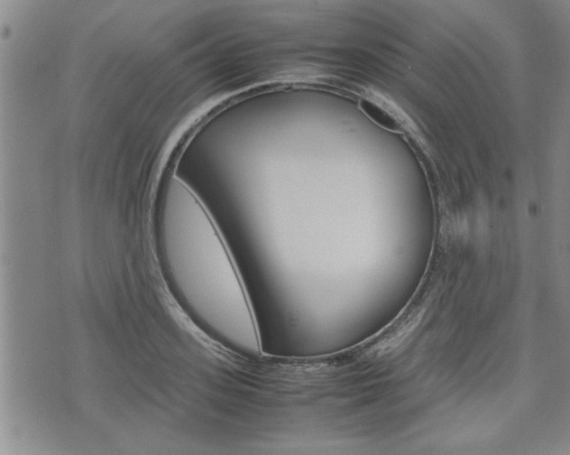 X0000074950939200609010916