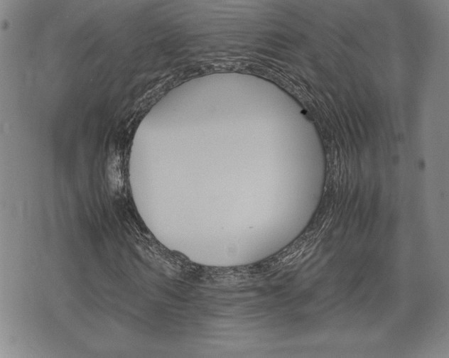X0000074950962200609010916