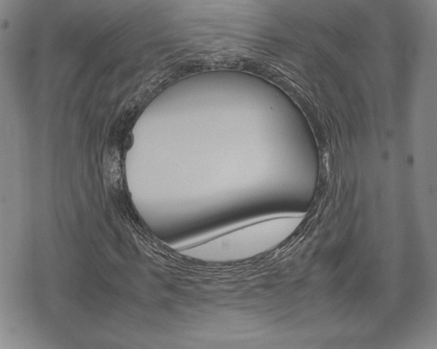 X0000074950963200609010916