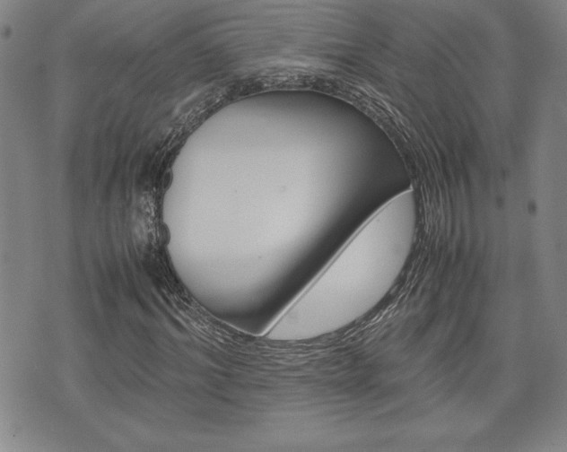 X0000074950964200609010916