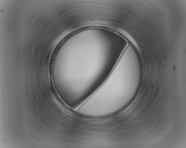 X0000074950980200609010916