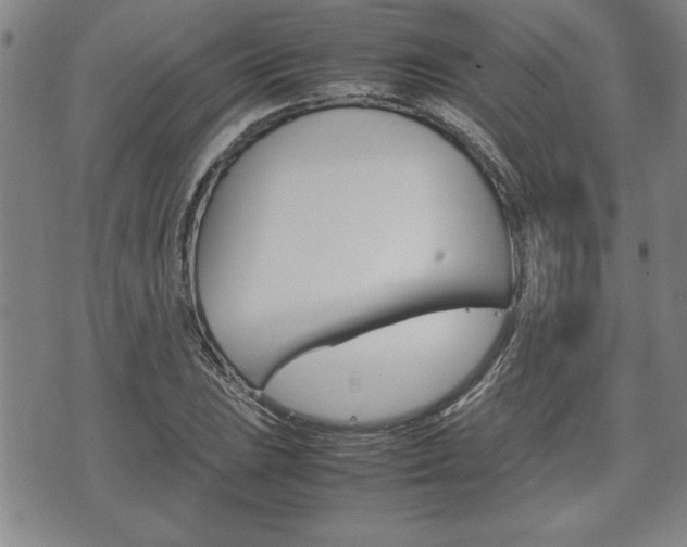 X0000074951023200609010915