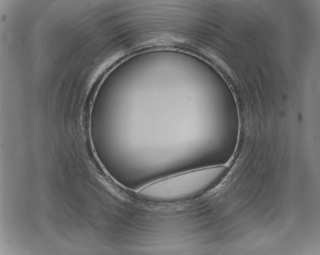X0000074951026200609010915