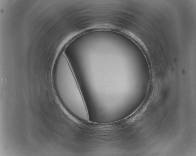 X0000074951037200609010915
