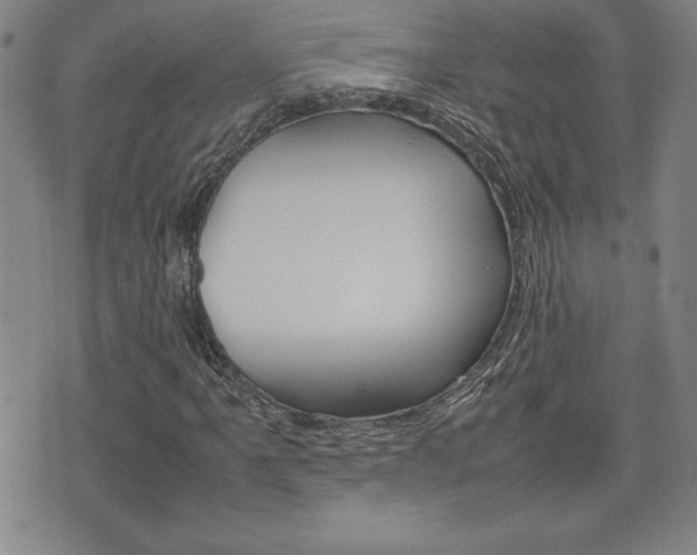 X0000074951061200609010914