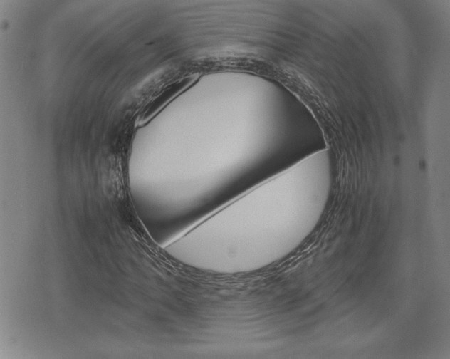 X0000074951062200609010914
