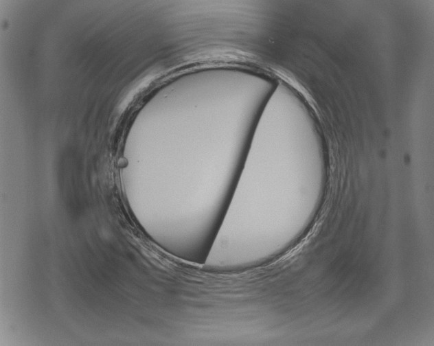 X0000074951067200609010914