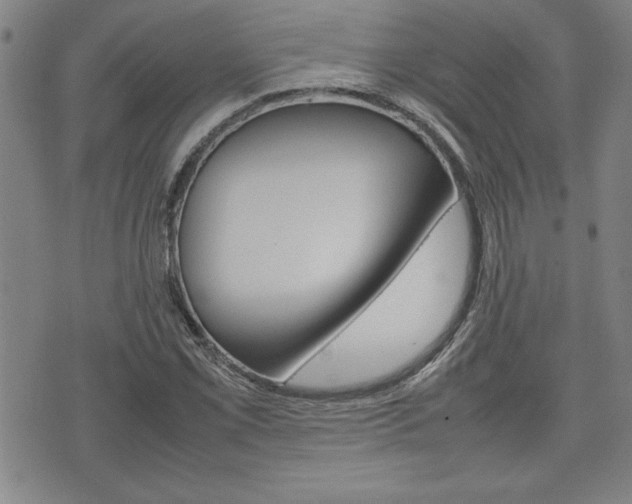 X0000074951069200609010914