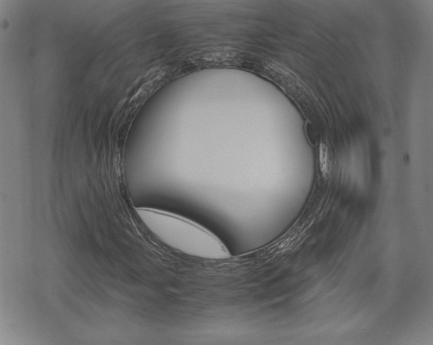 X0000074951107200609010913