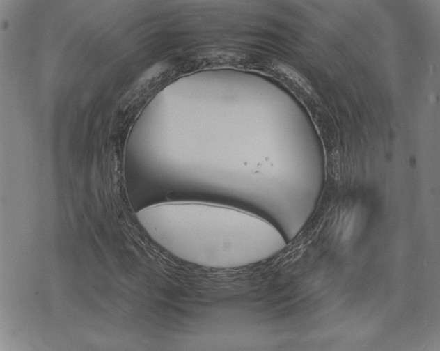X0000074951111200609010913