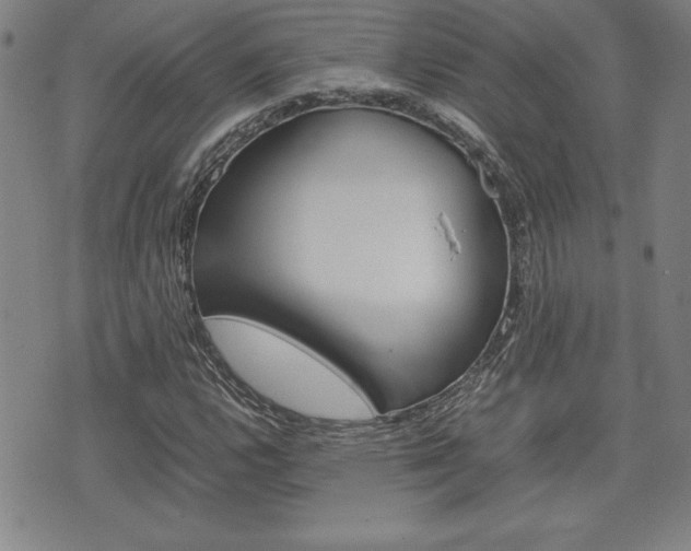X0000074951112200609010913