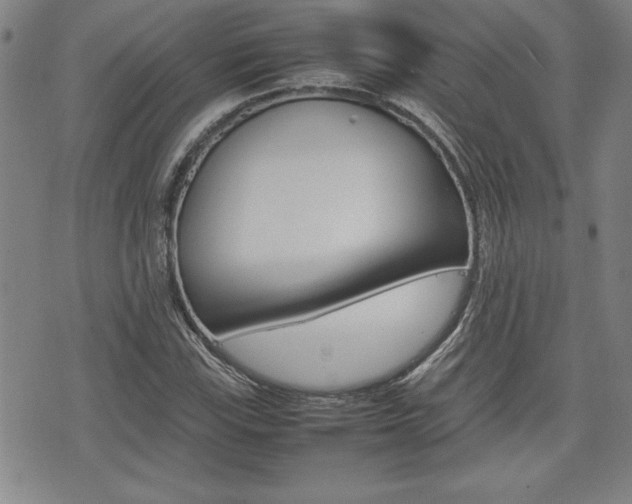 X0000074951115200609010913