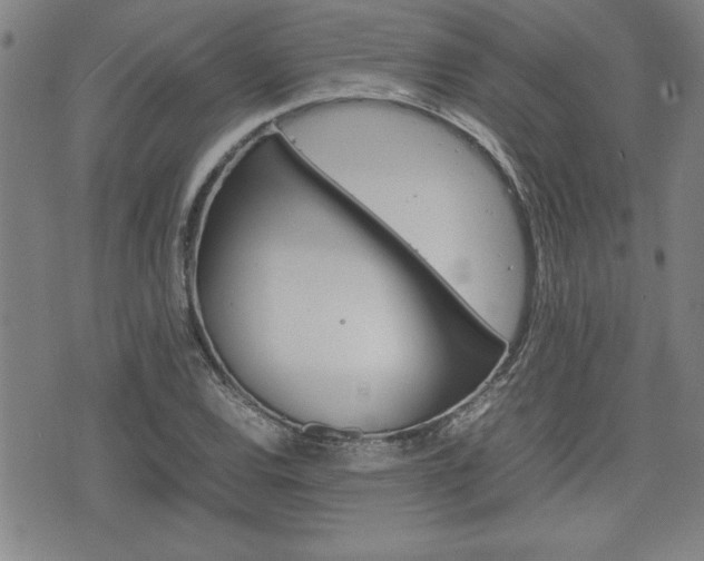 X0000074951120200609010913