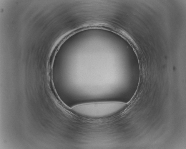 X0000074951124200609010913