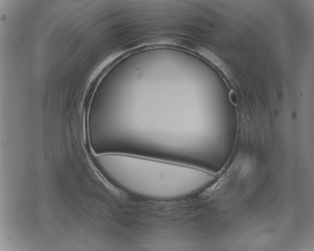 X0000074951127200609010913