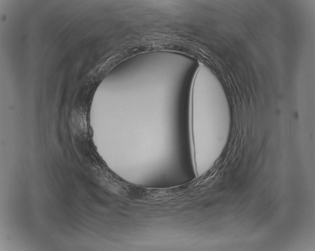 X0000074951155200609010913
