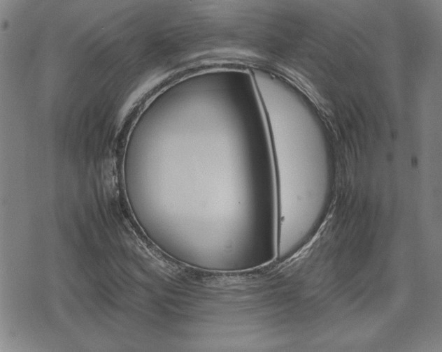 X0000074951164200609010913